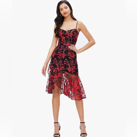 Dress The Population Elegant Black and Red Floral Dress - Picture 1 of 6